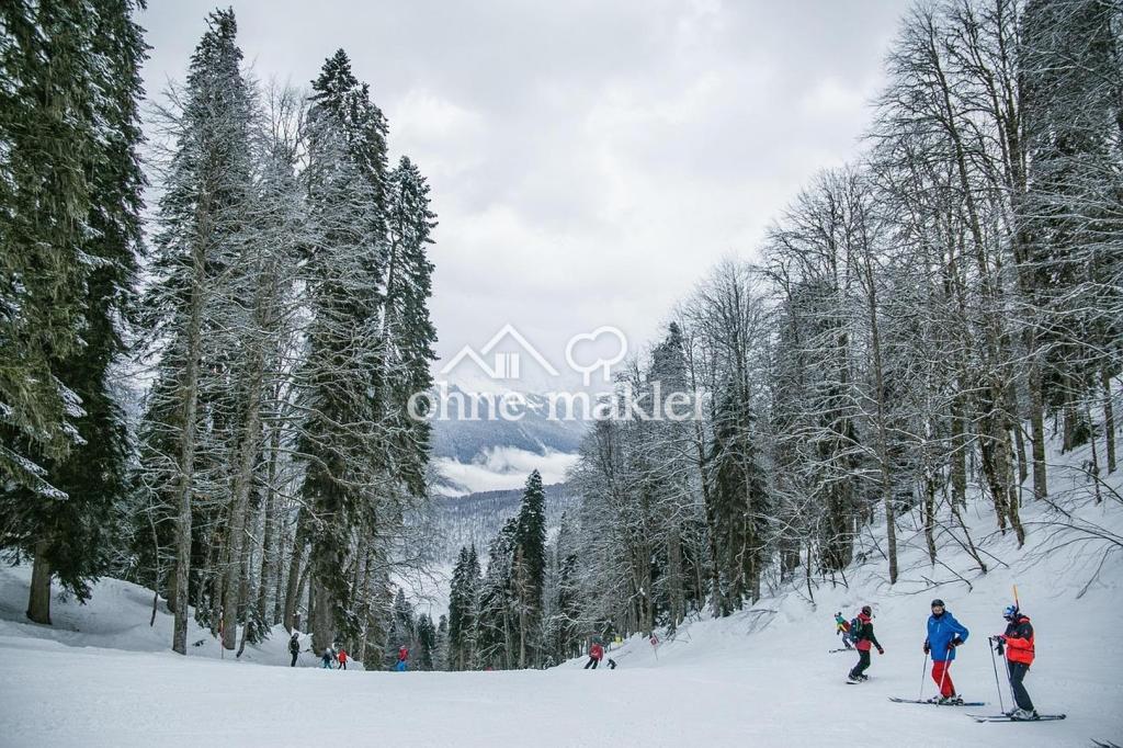 Skifahren im Winter