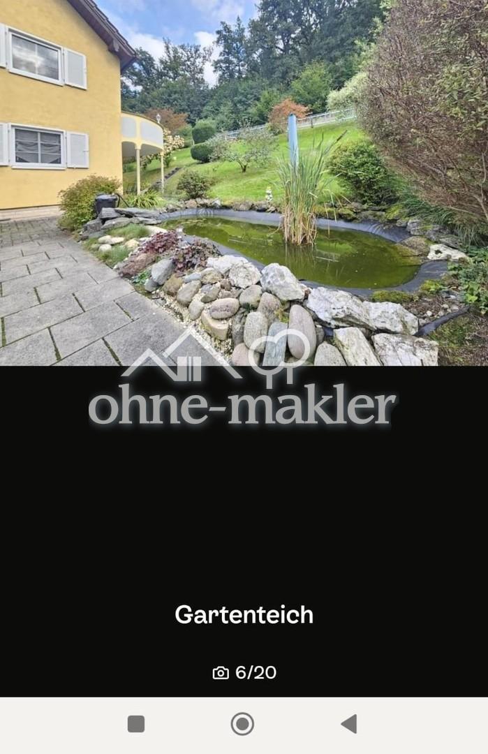 1748612603_99828661.jpg