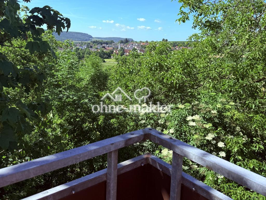 Unverbaubarer Blick WZ-Balkon
