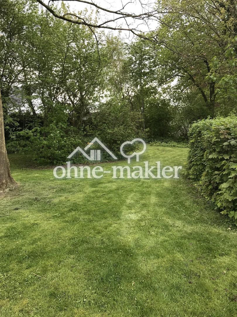Blick durch den Garten
