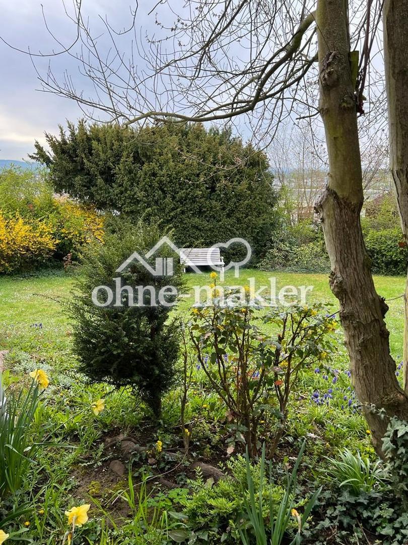 Blick in den Garten 1