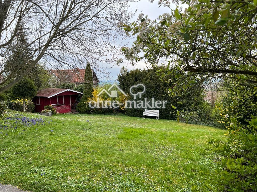 Blick in den Garten 2