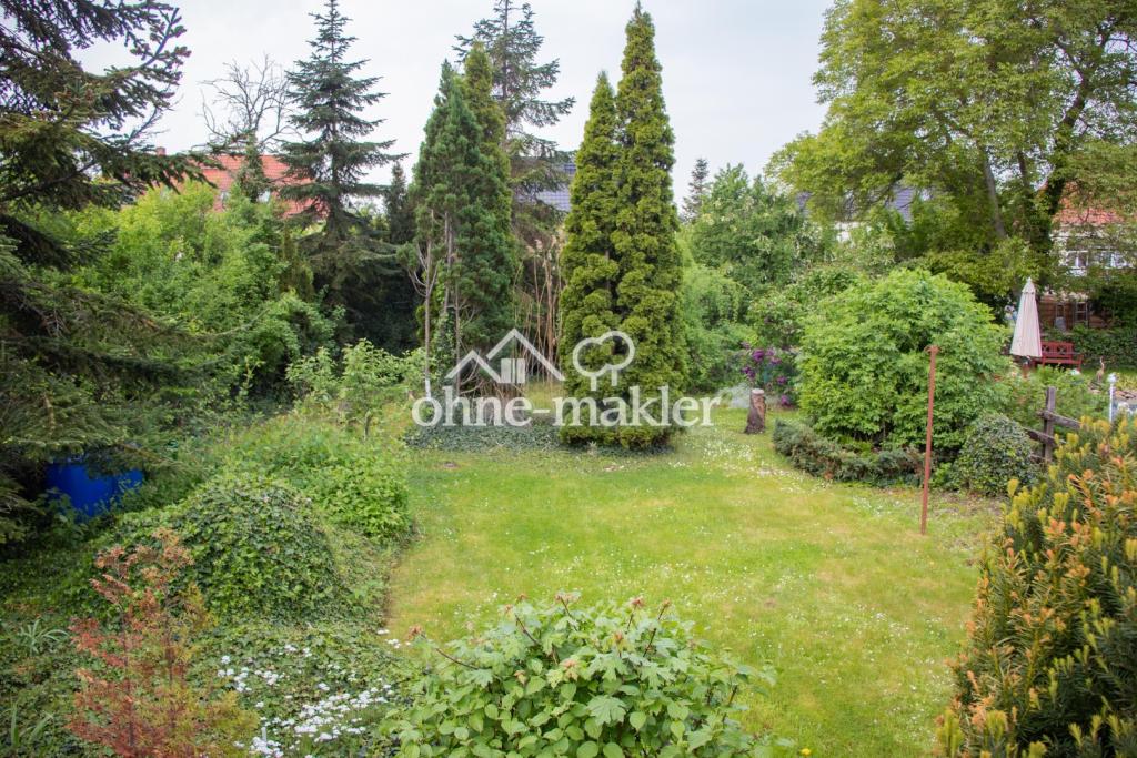 Blick in den Garten