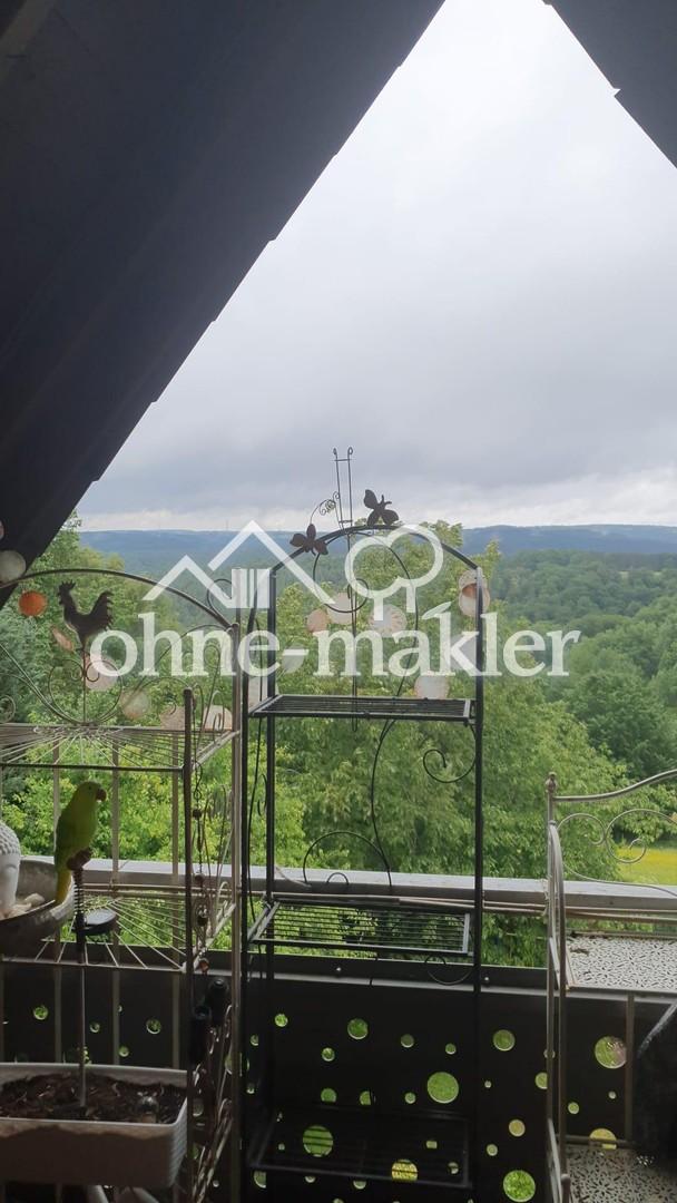 Blick vom Balkon DG