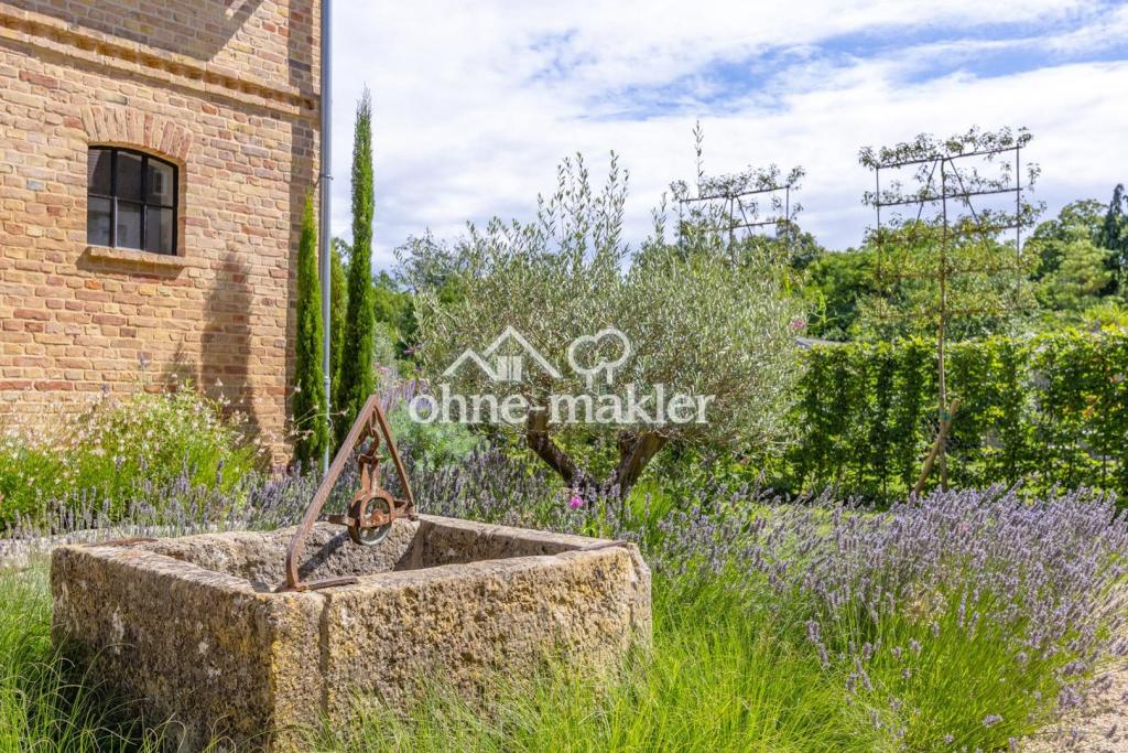 Gartenimpression