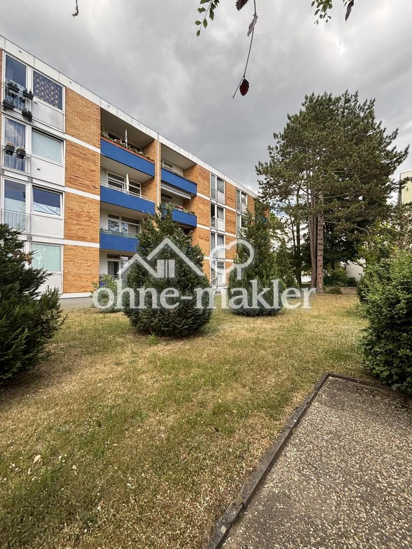 Grünfläche rund um das Haus
