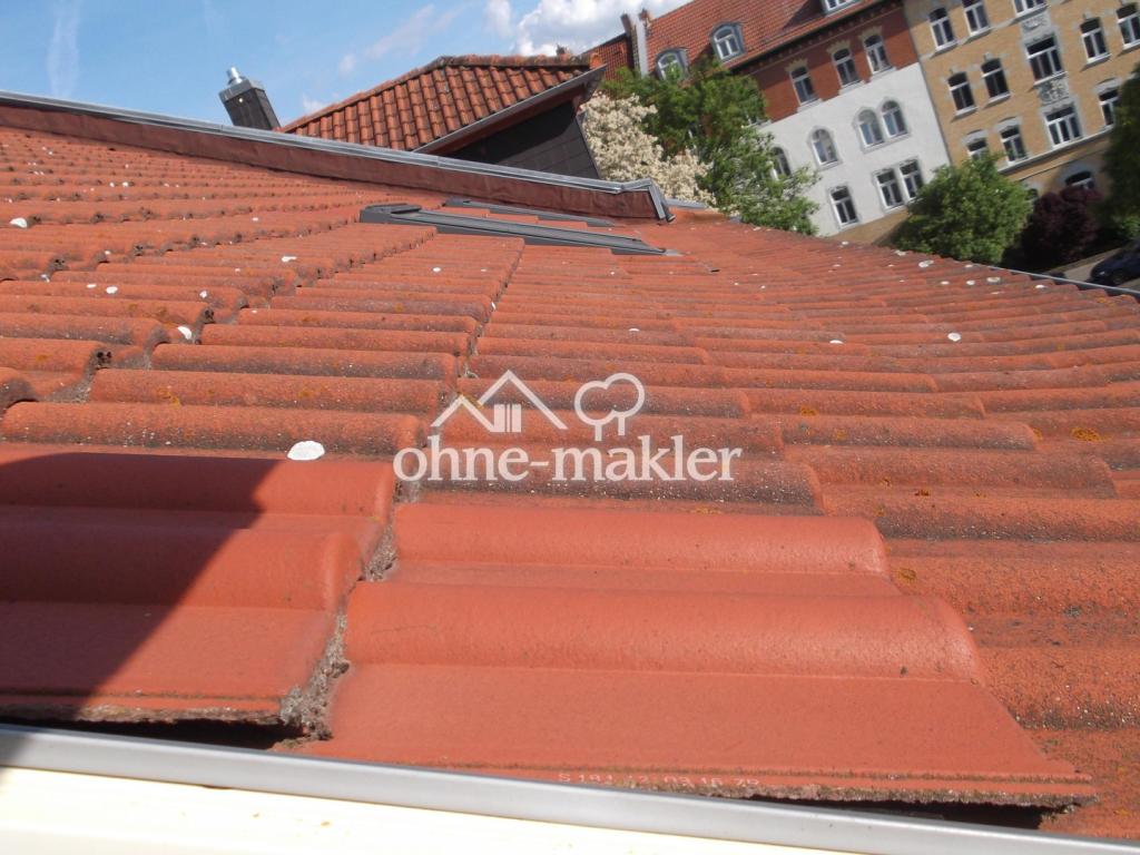 Blick auf´s Dach 
