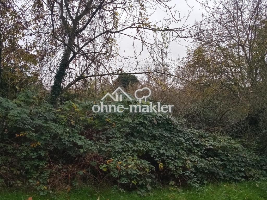 1749460093_99856041.jpg