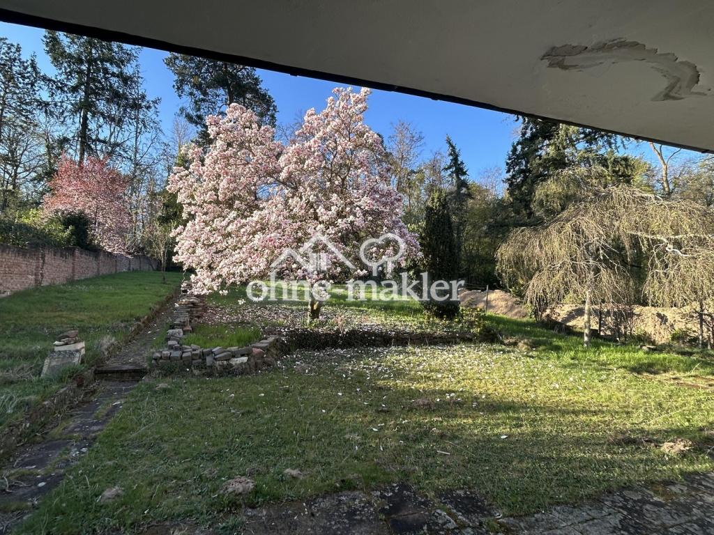 Blick in den Garten