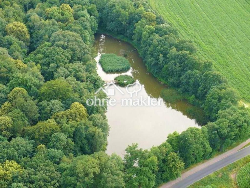 Luftbild See & Wald