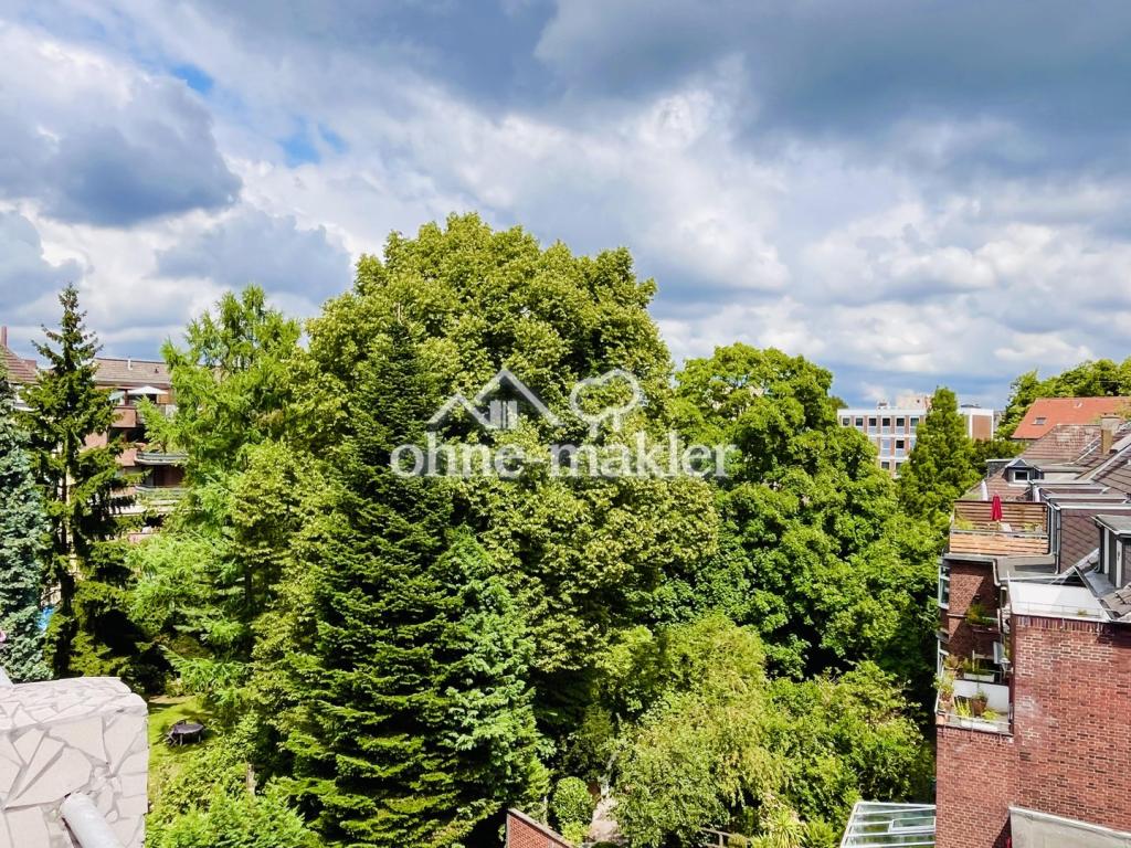 Blick in die grünen Bäume