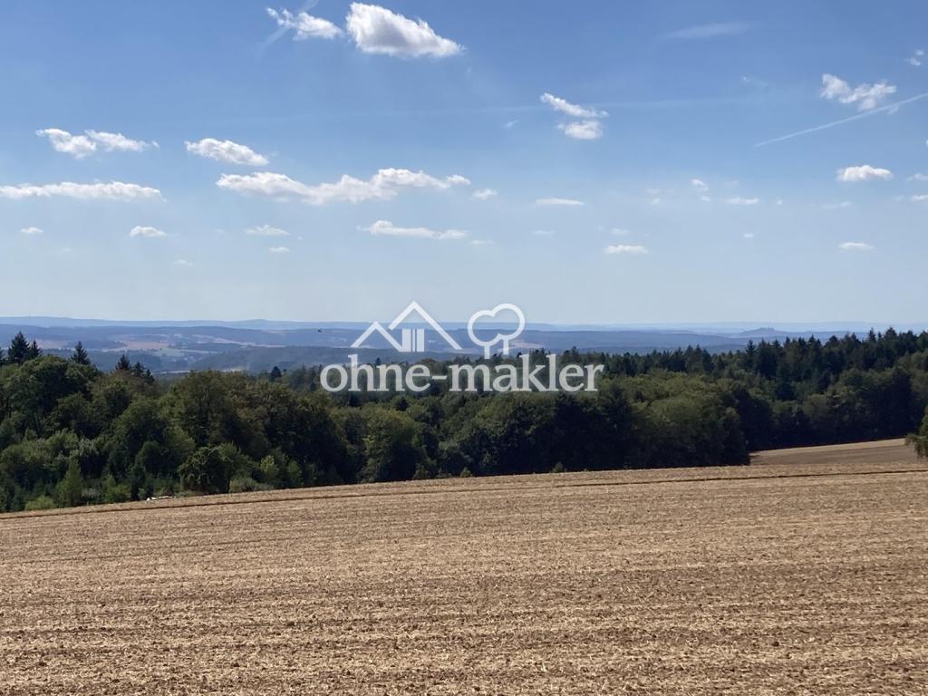 Blick in die Rheinebene 