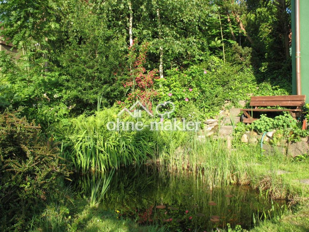 Gartenteich