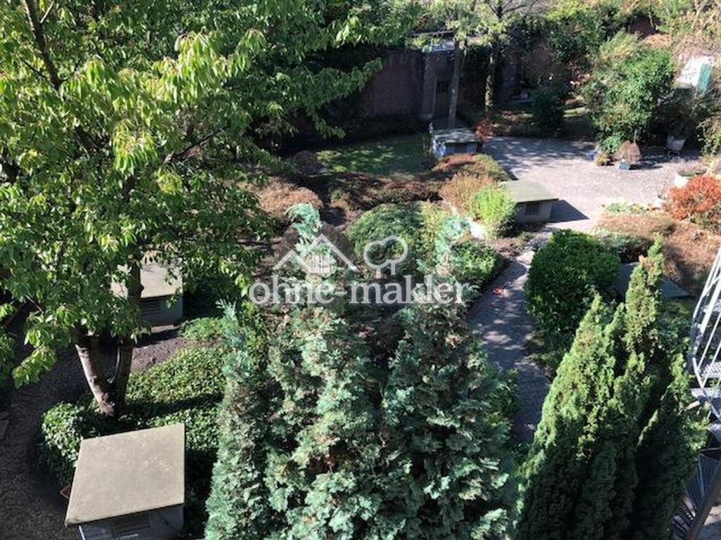 Blick in den Garten