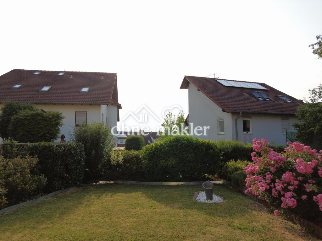 Blick in den Garten