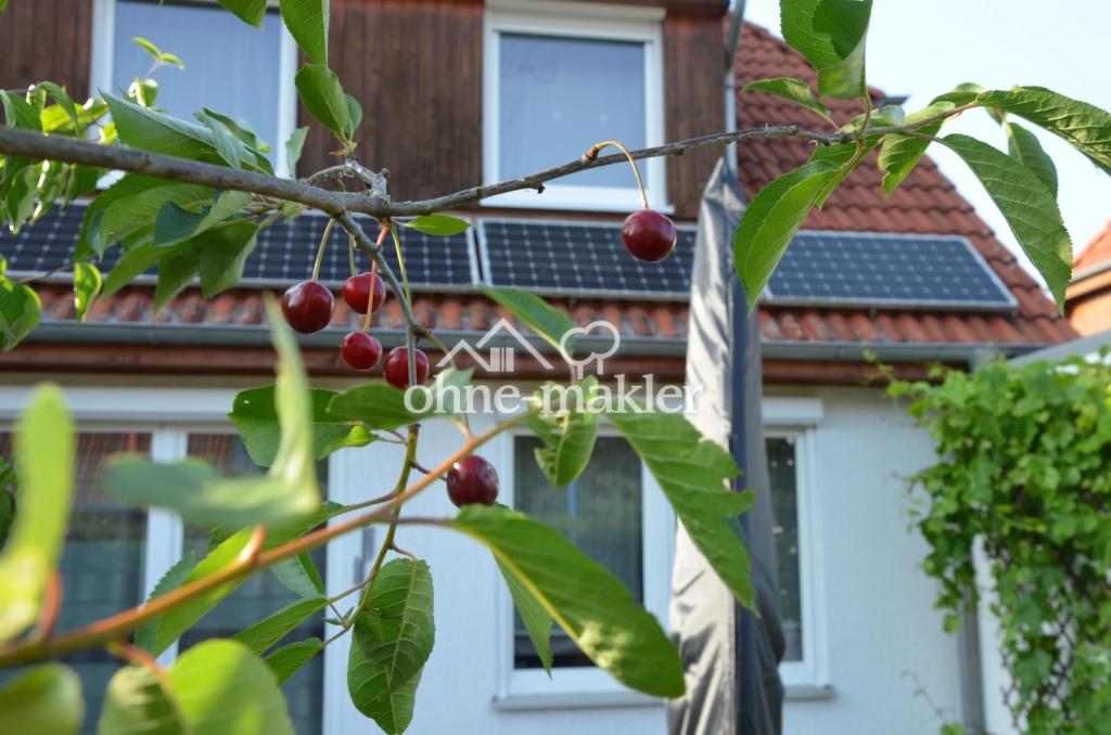 Garten Foto 3