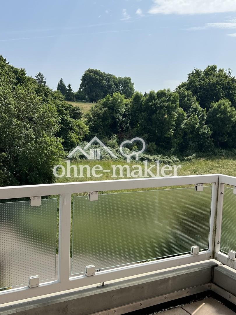 Blick ins Wurmtal (süd-ost)
