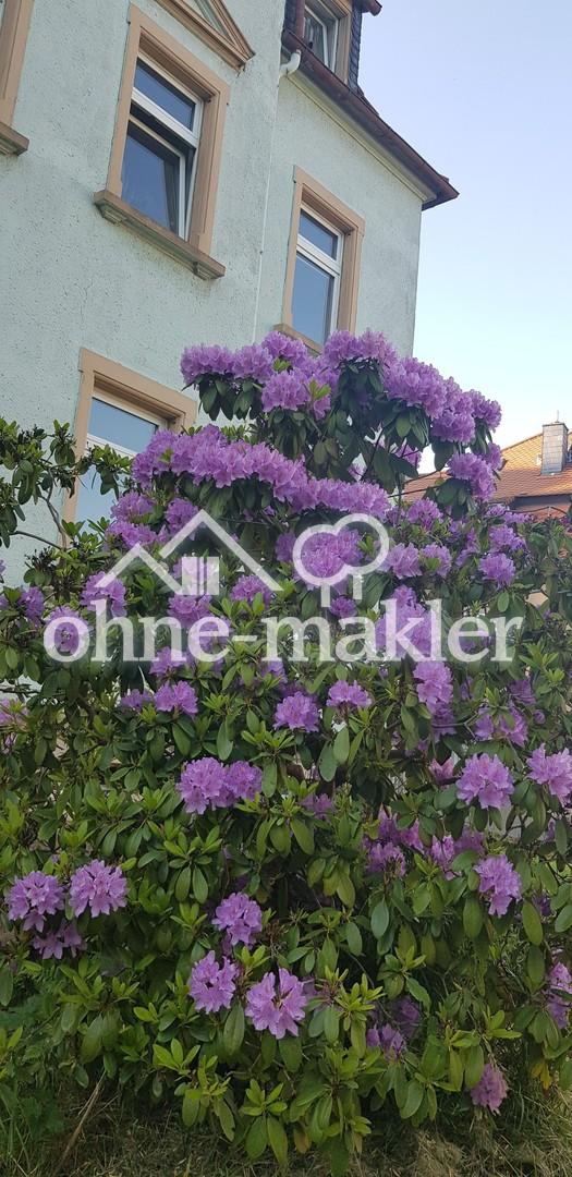 Der Garten vor dem Haus