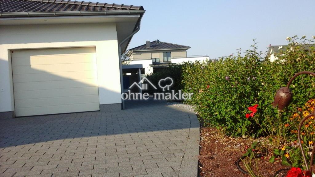 Hinten Carpot