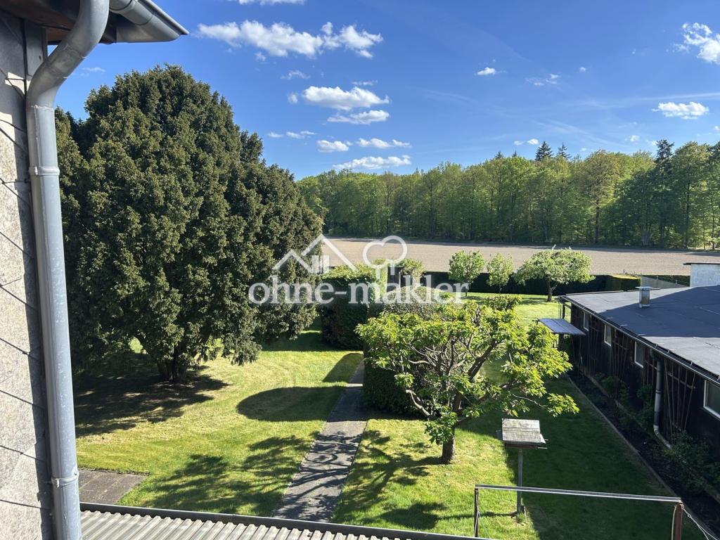 Blick OG Garten
