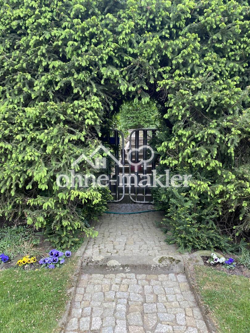 Gepflasterter Zugang i.d.Hecke