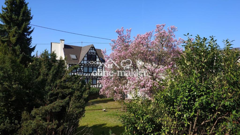 Blick vom Balkon im Frühling