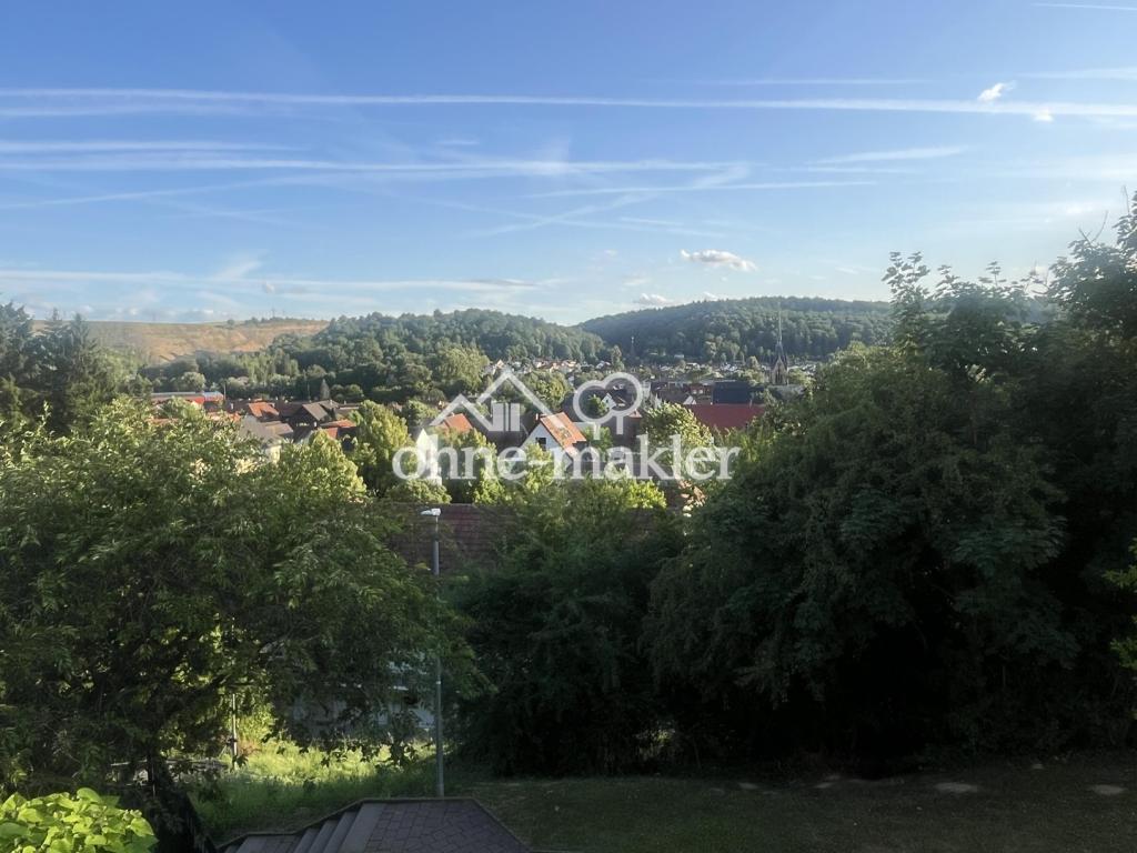 Ausblick vom Balkon 