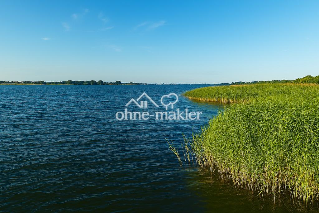 Schlei