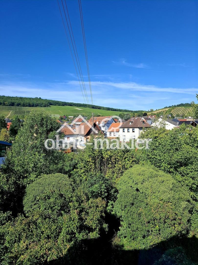 Ausblick auf das 2. Grundstück