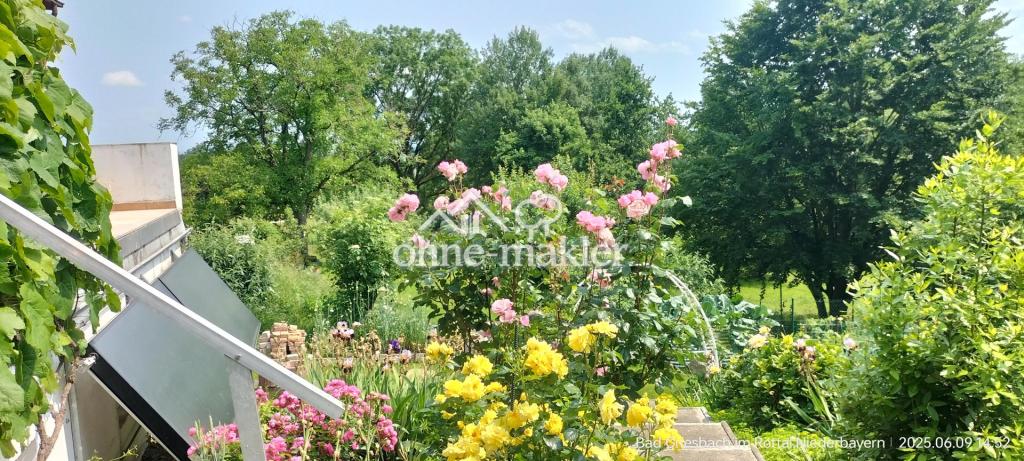 Blumen und mehr ...