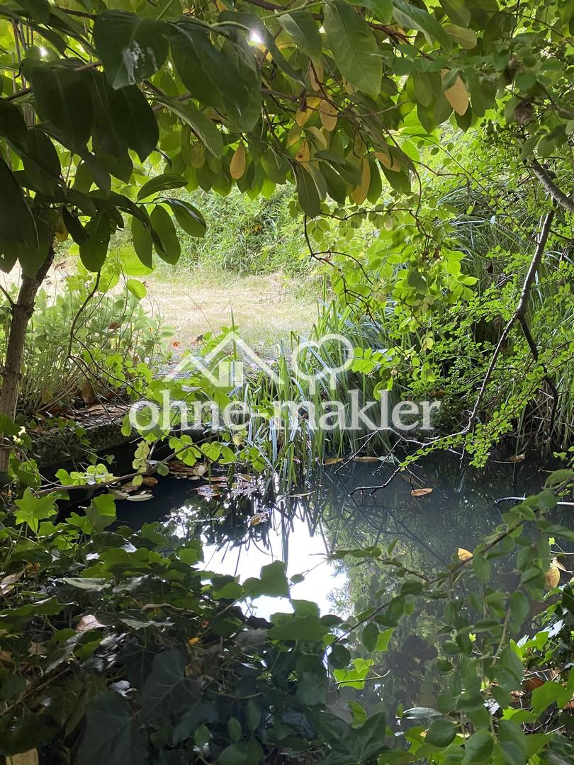 alter Gartenteich