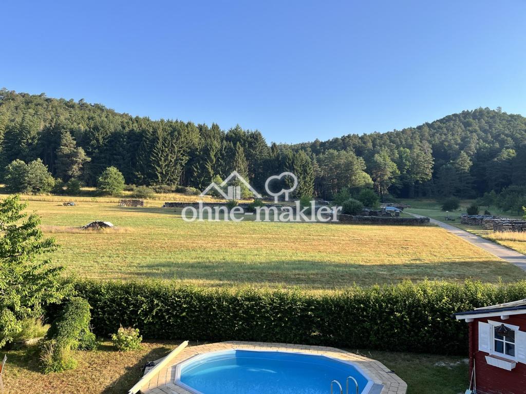 Blick in den Garten 