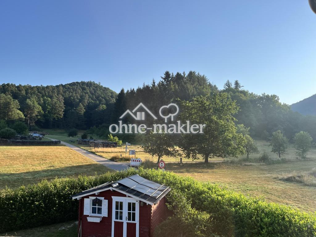 Blick in den Garten 