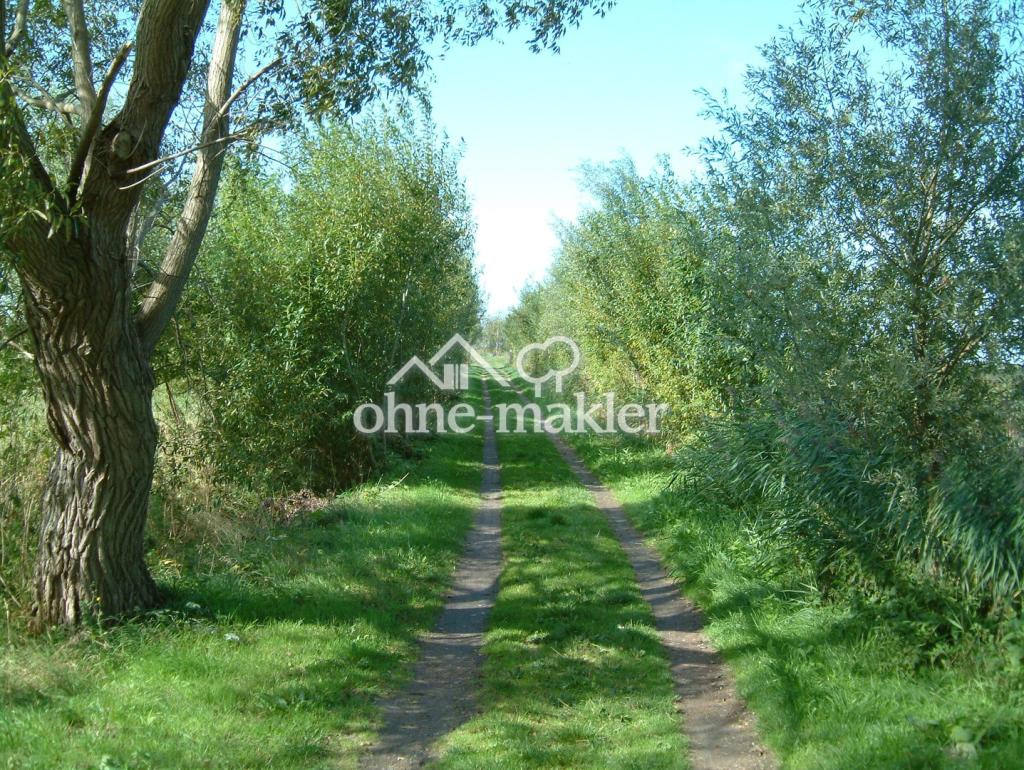 Wiesenweg zum Boddenhafen