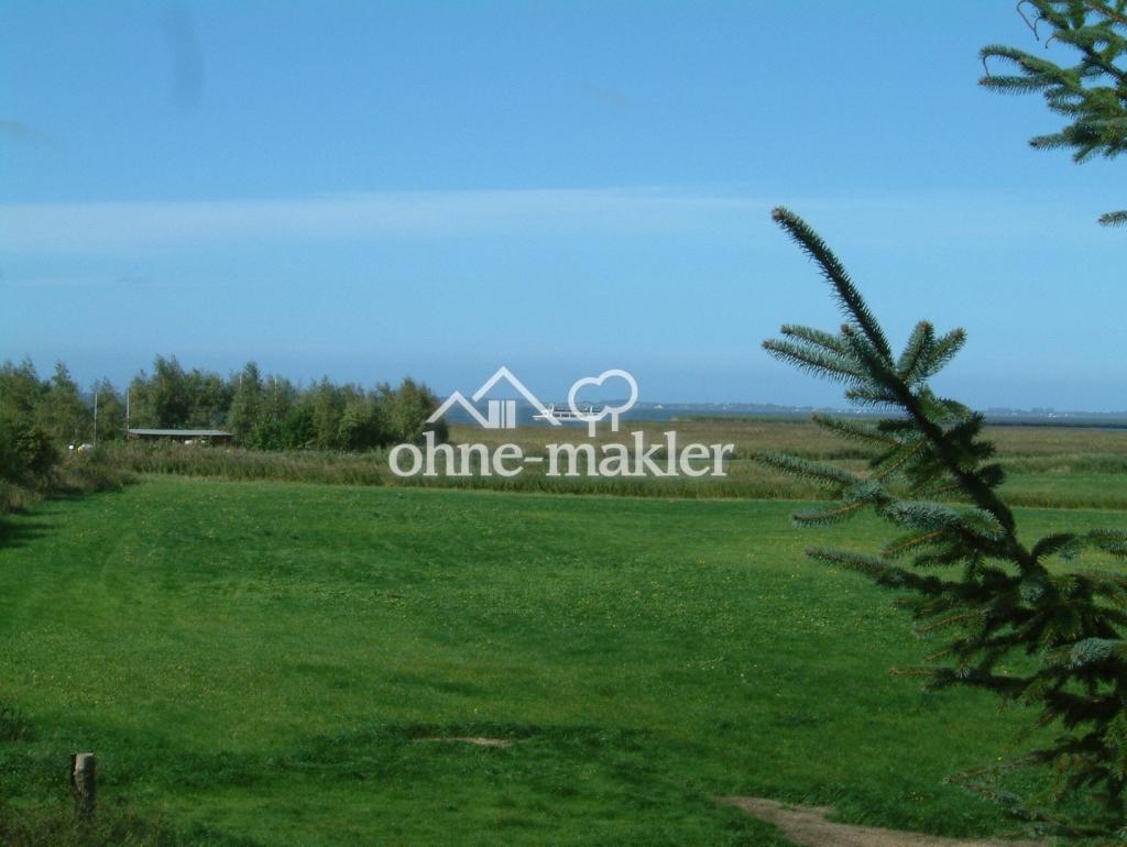 Blick vom Balkon auf Bodden