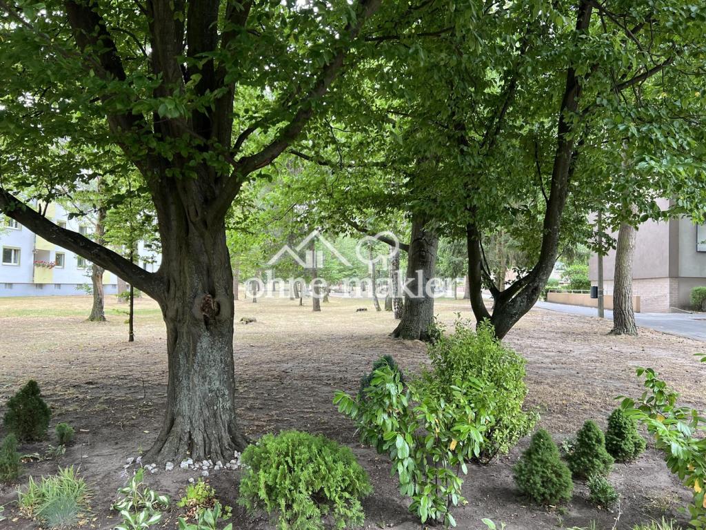 Grünanlage