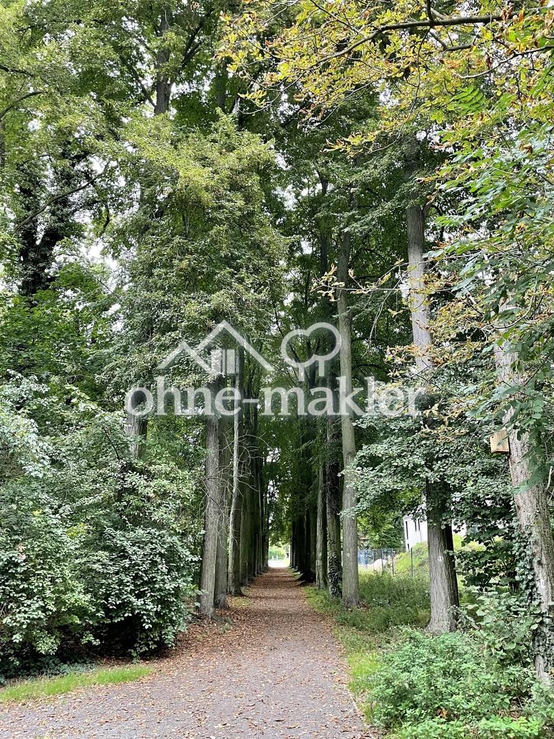 Umgebung - Lindweiher