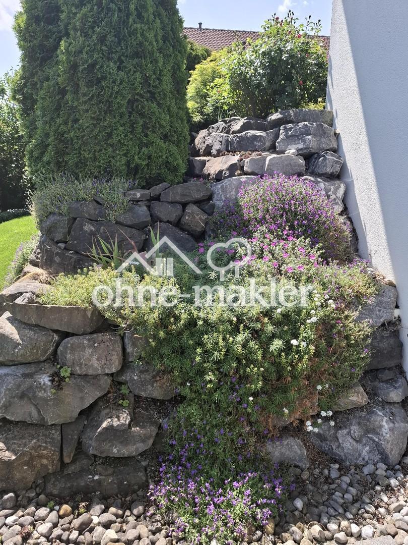 Gartenbereich - Ostseite