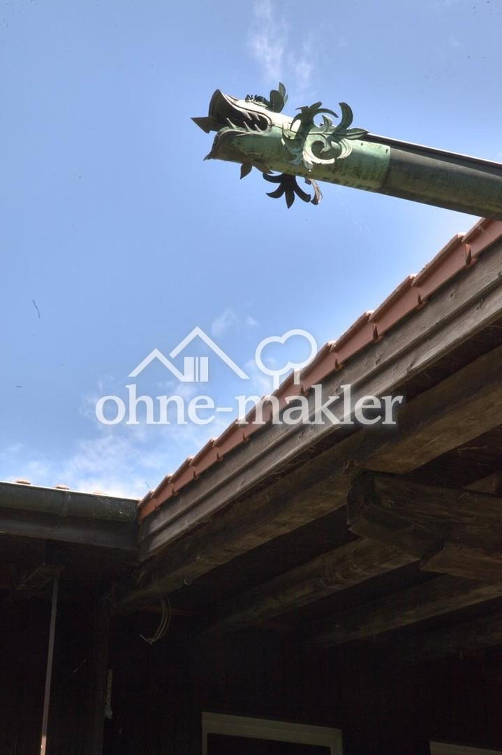 Wasserspeier