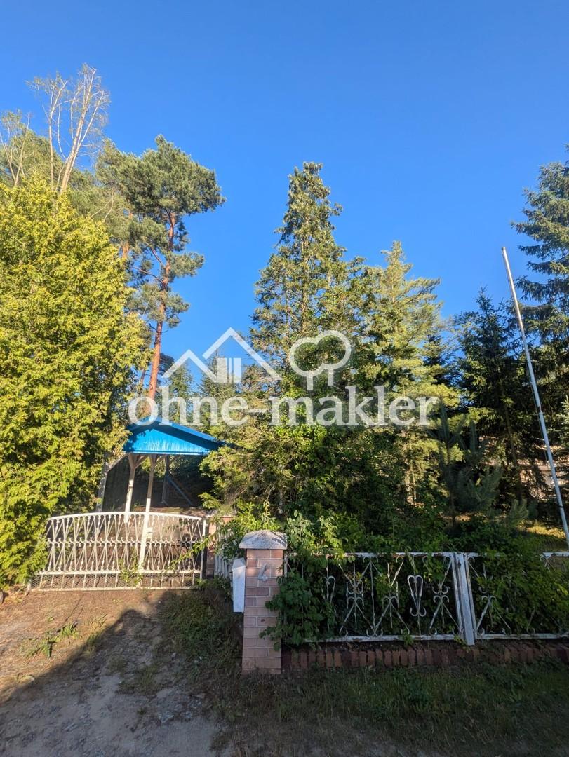 Blick ins Carport