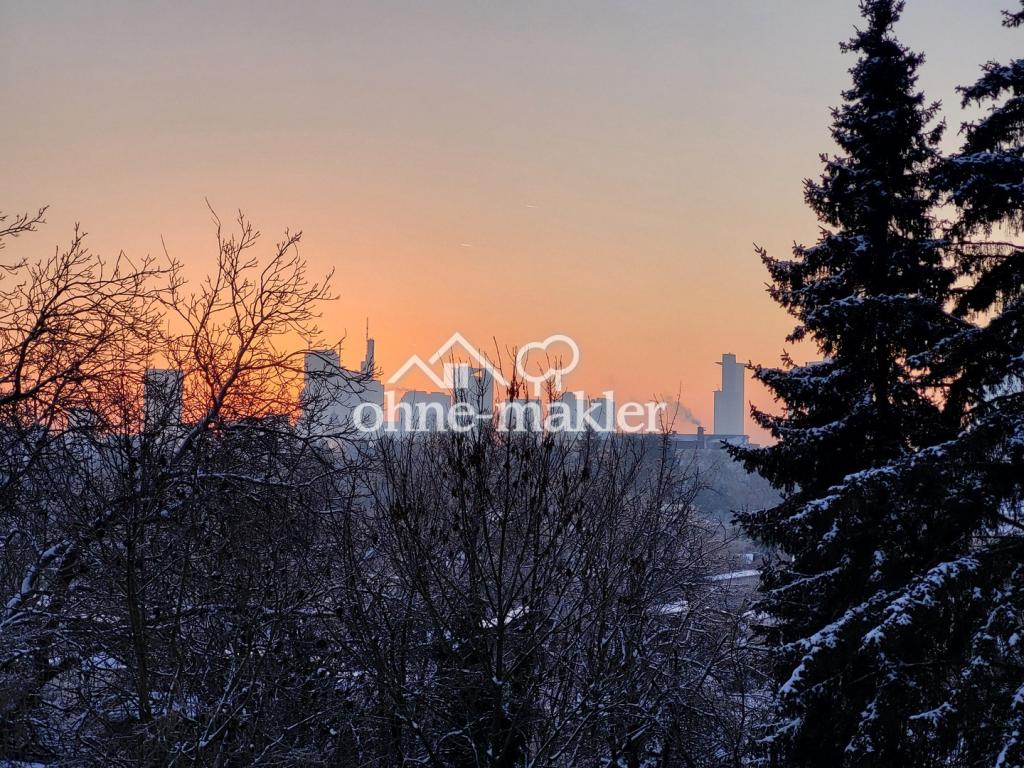 Skyline im Winter