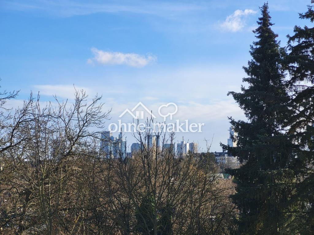 Blick vom Balkon im Frühling