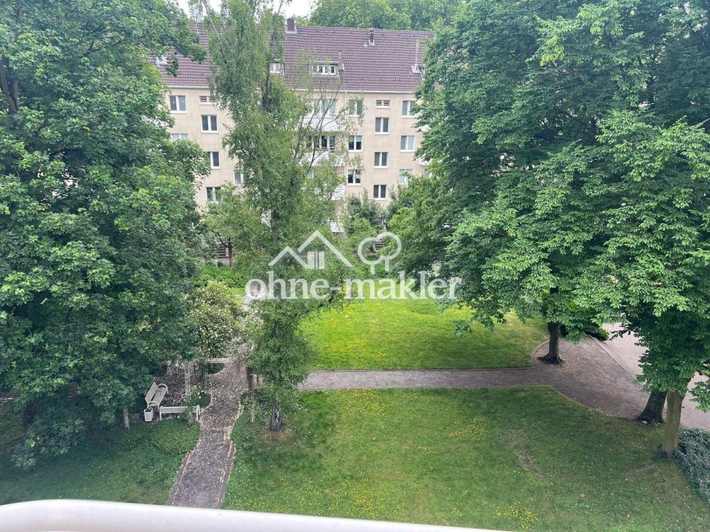 Blick in den Garten