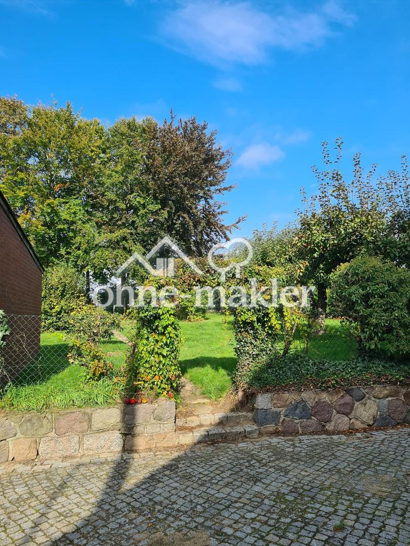 Blick in den Obstgarten