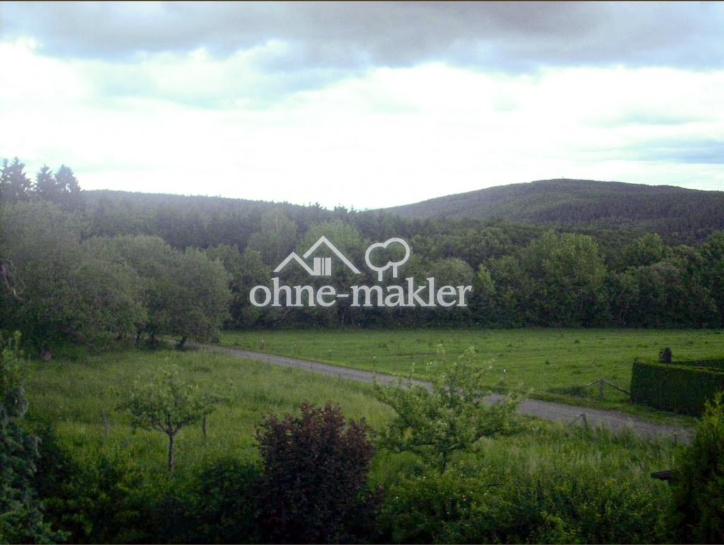 Fernblick