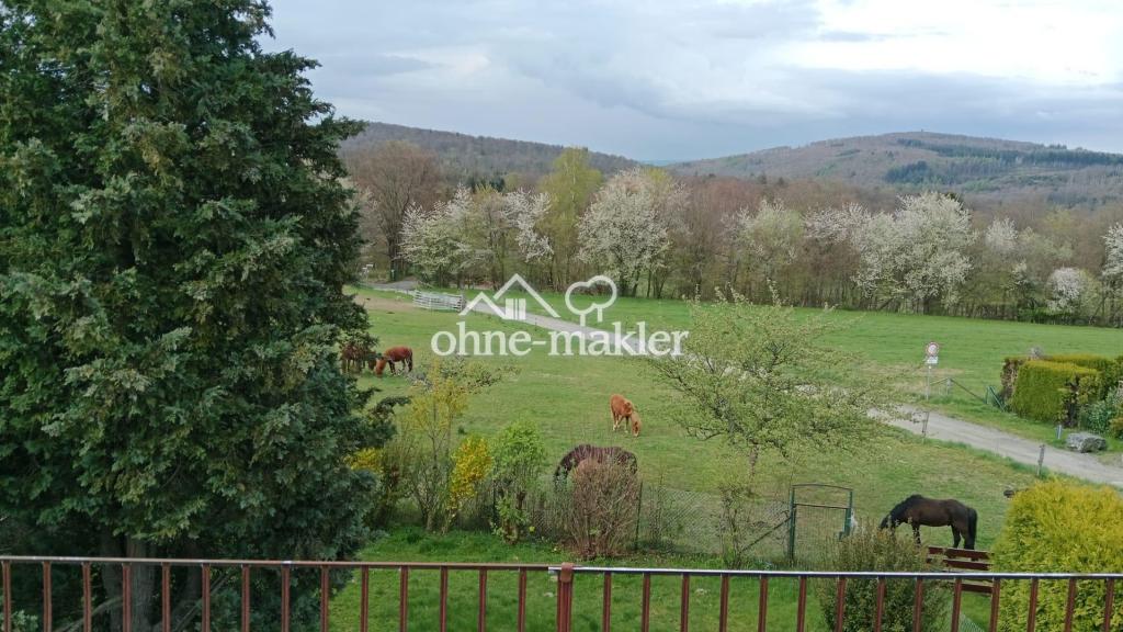 Fernblick