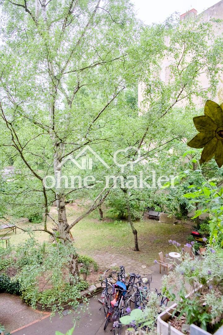Blick in den Garten