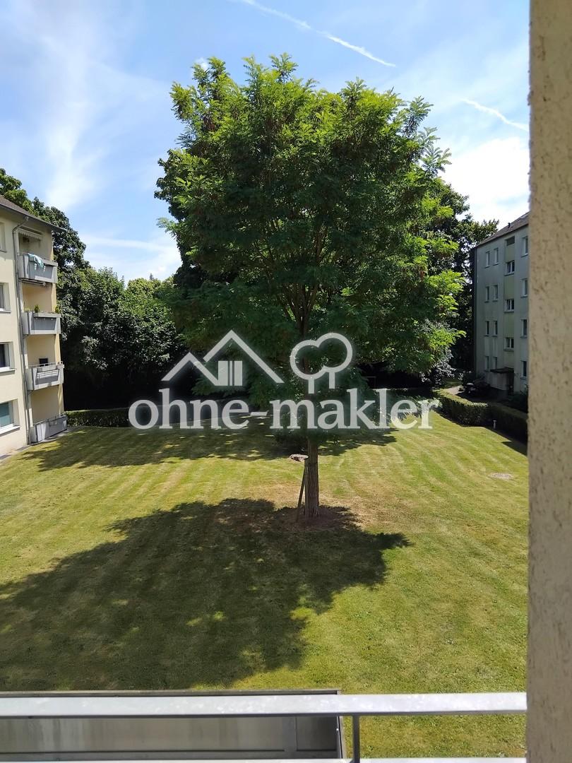 Blick vom Balkon i.d. Garten