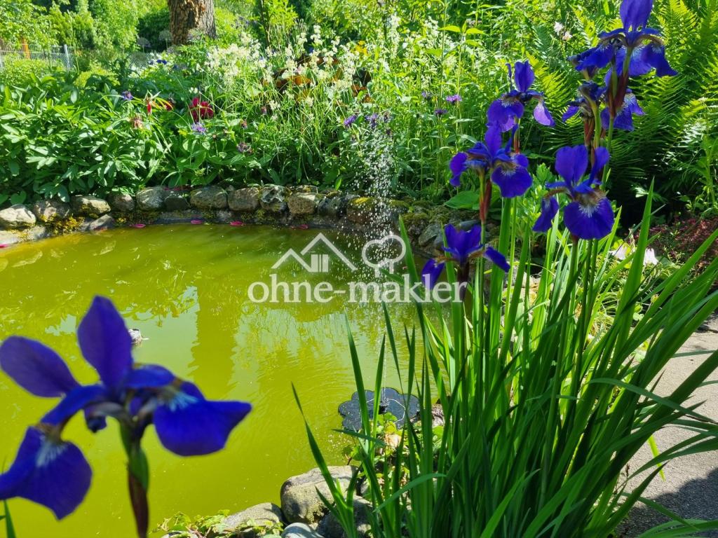 der Teich
