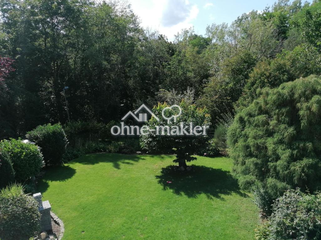 Garten mit Wald